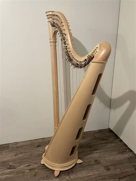 salvi harps for sale